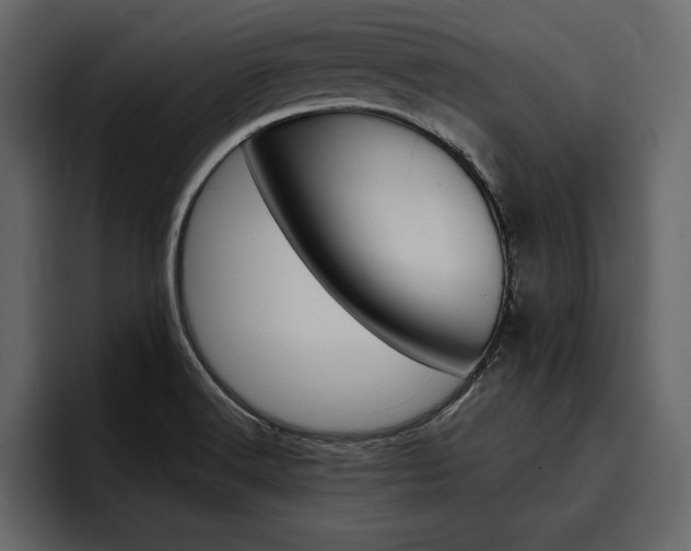 X0000097481516200802220810