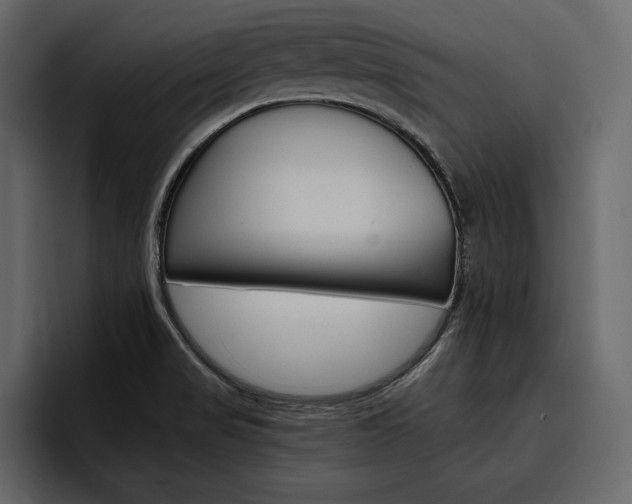 X0000097481517200802220810