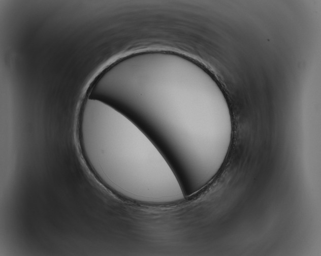 X0000097481518200802220810