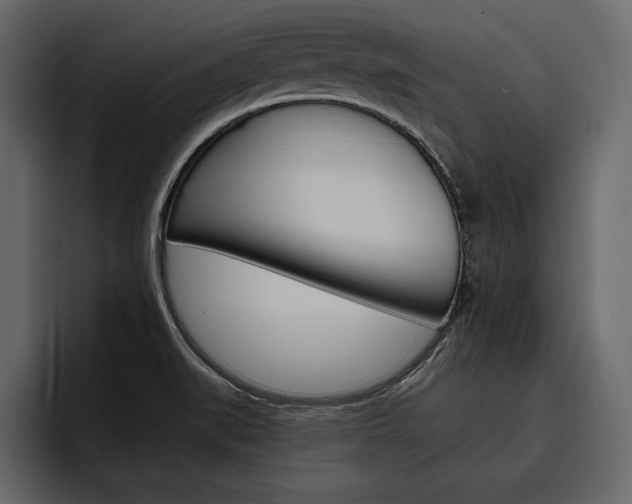X0000097481519200802220810