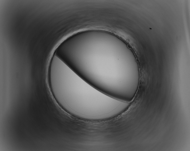 X0000097481520200802220810