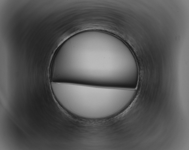 X0000097481521200802220810