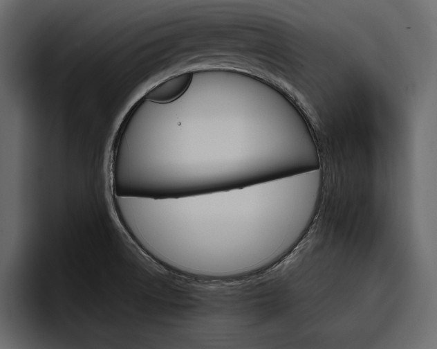 X0000097481522200802220810