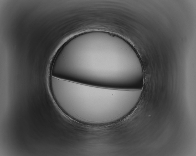X0000097481523200802220810