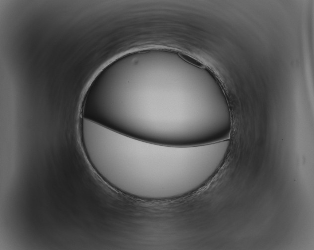 X0000097481524200802220810