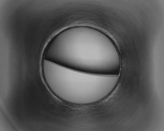 X0000097481525200802220810