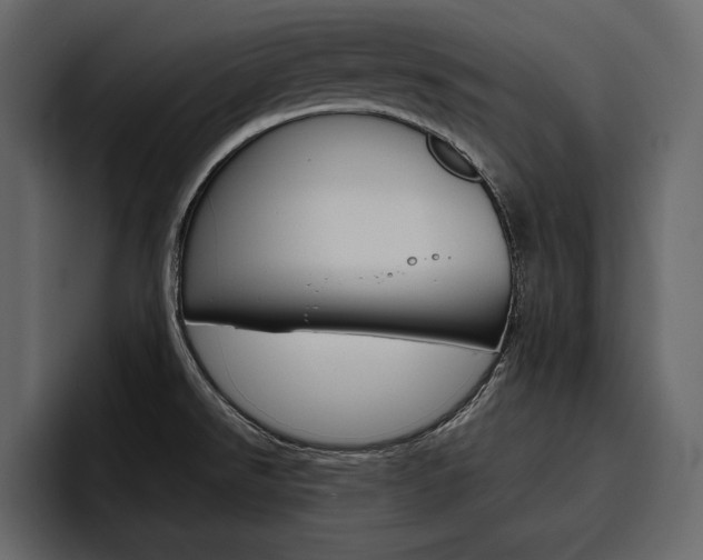 X0000097481526200802220810