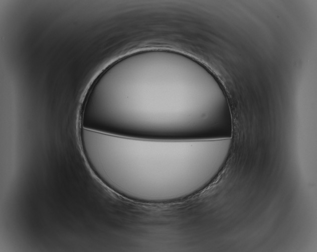 X0000097481527200802220810