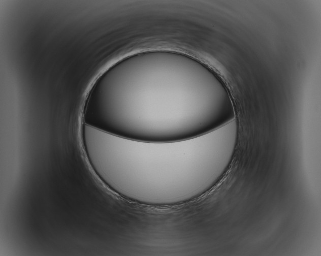 X0000097481528200802220810