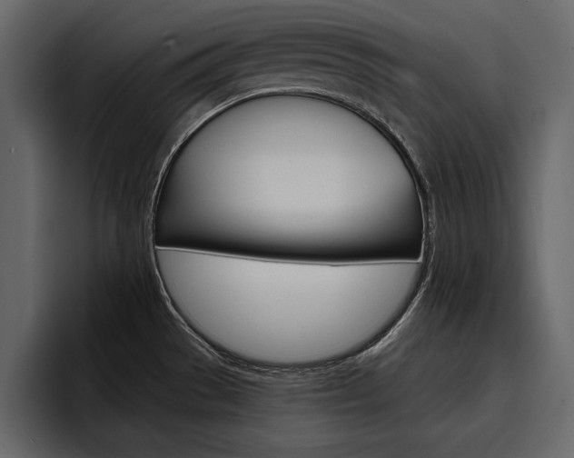 X0000097481529200802220810