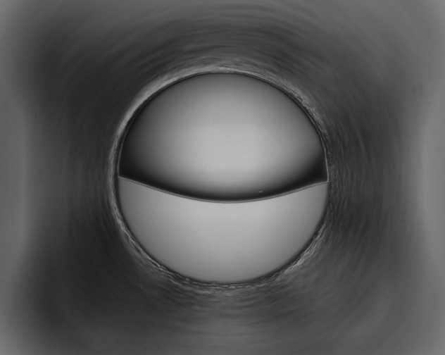 X0000097481530200802220810