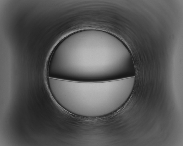 X0000097481531200802220810