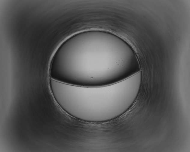 X0000097481532200802220810