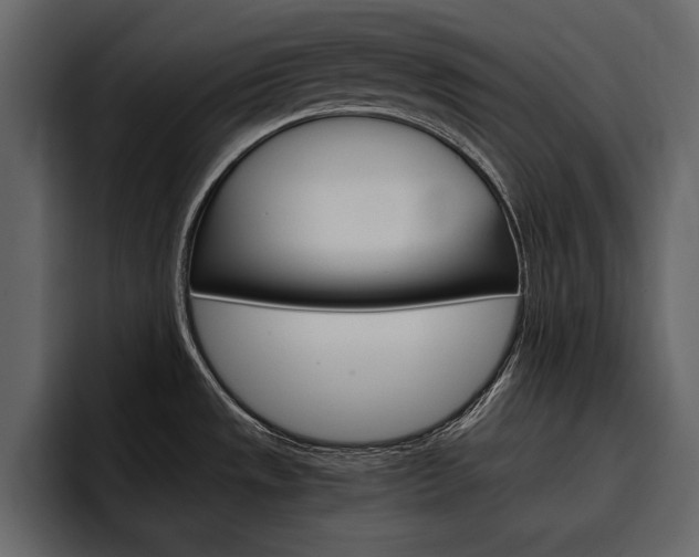X0000097481533200802220810