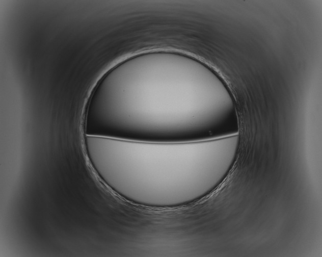 X0000097481534200802220810