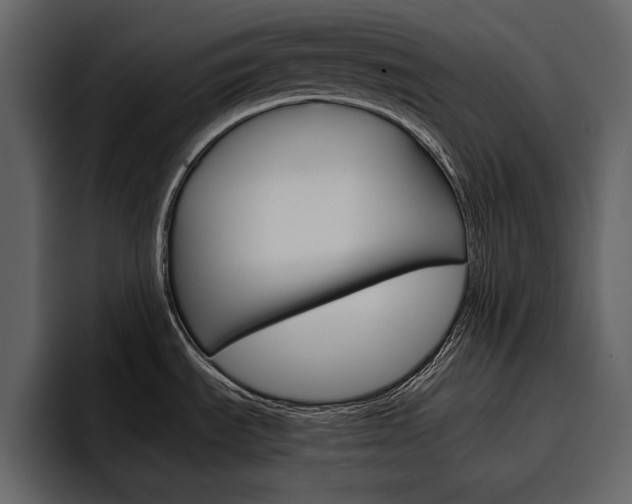 X0000097481535200802220810