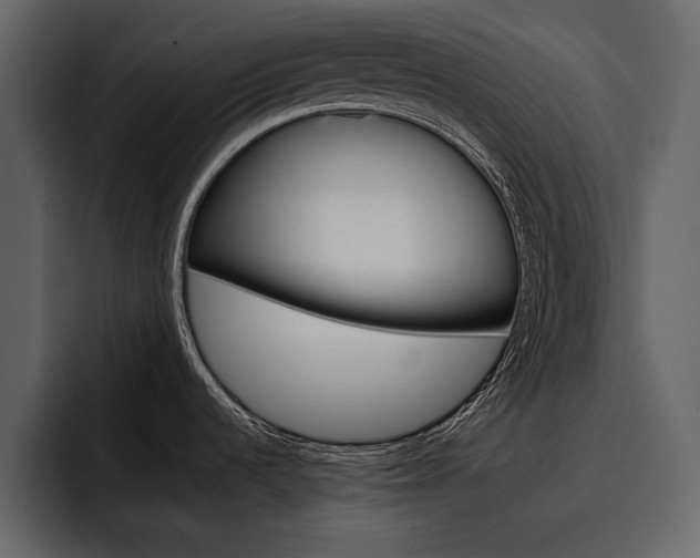 X0000097481536200802220810