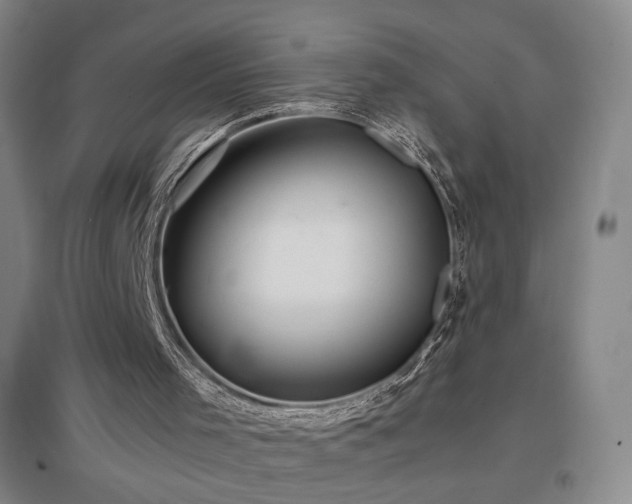 X0000097480001200802221403