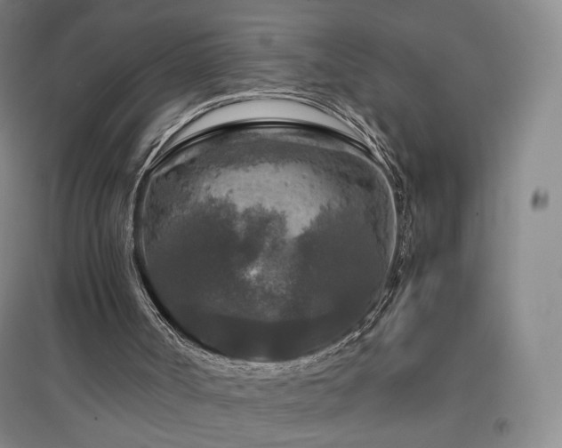 X0000097480002200802221403