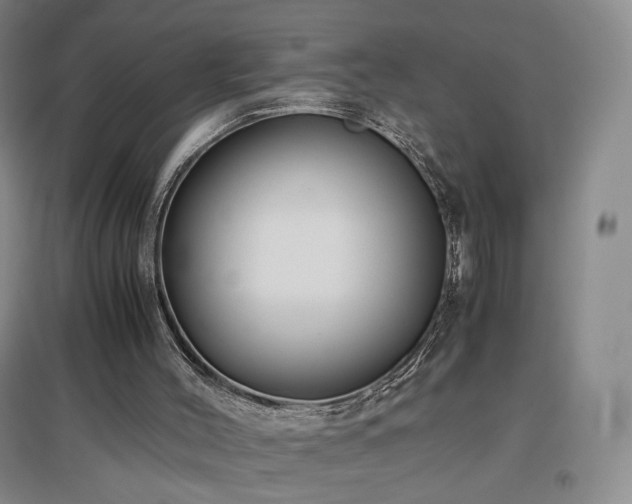 X0000097480004200802221403