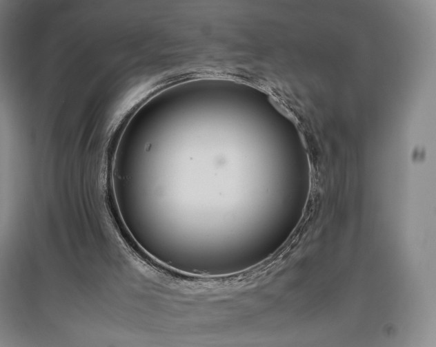 X0000097480005200802221403