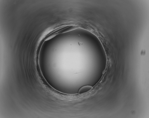 X0000097480006200802221403