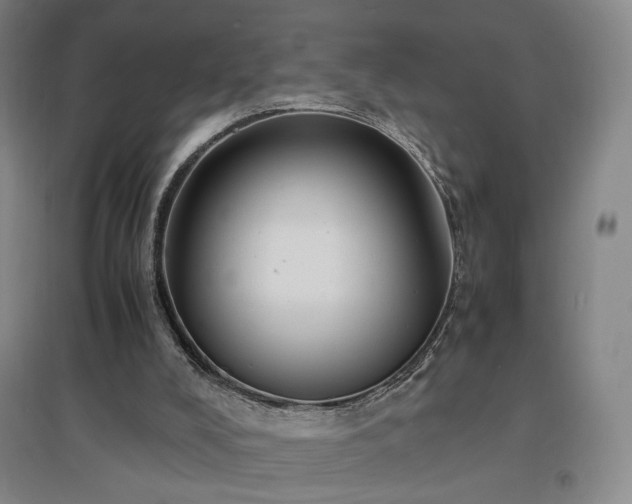 X0000097480008200802221402