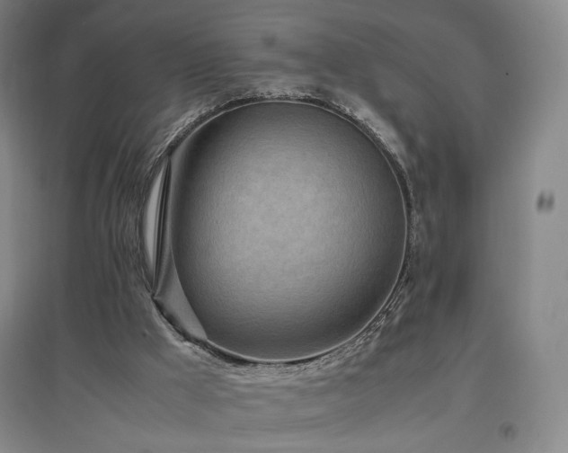 X0000097480009200802221402