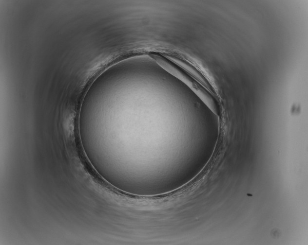 X0000097480010200802221402