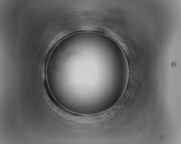 X0000097480011200802221402
