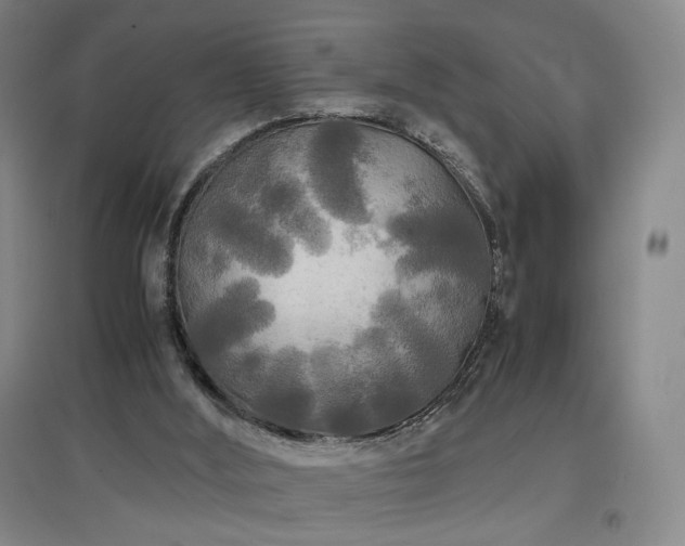 X0000097480012200802221402