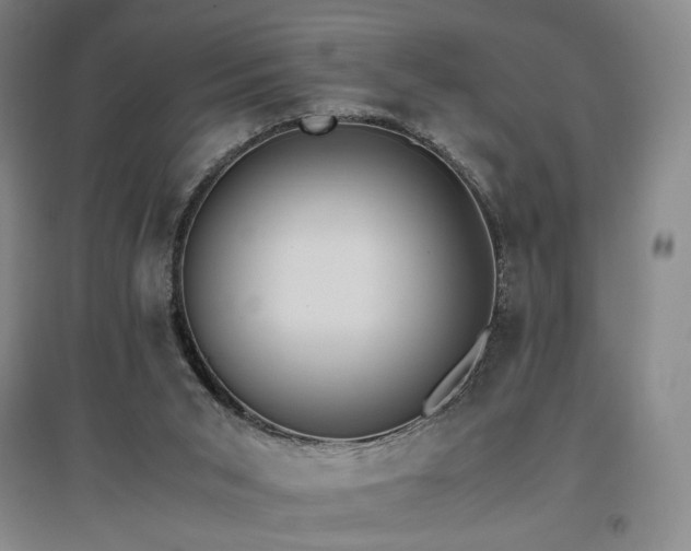 X0000097480015200802221402