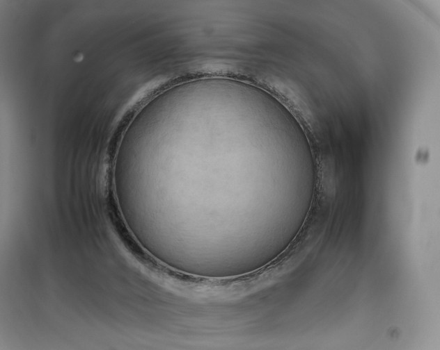 X0000097480016200802221402