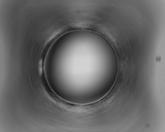 X0000097480020200802221402
