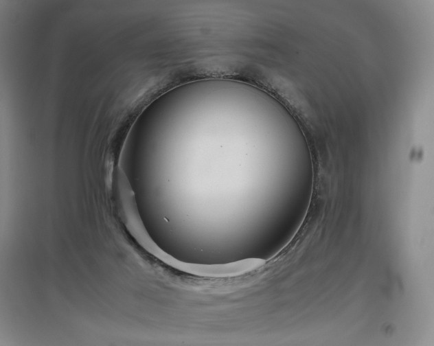 X0000097480021200802221402