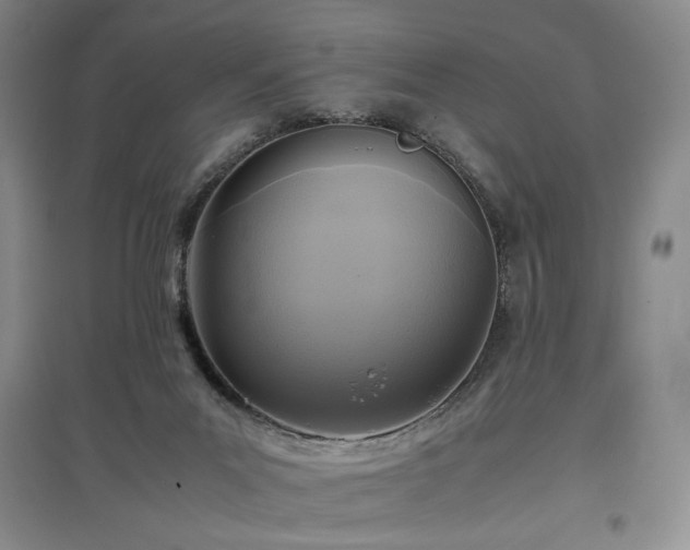 X0000097480023200802221402
