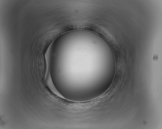 X0000097480025200802221402