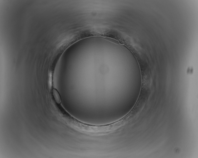 X0000097480027200802221402