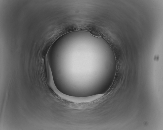 X0000097480033200802221402
