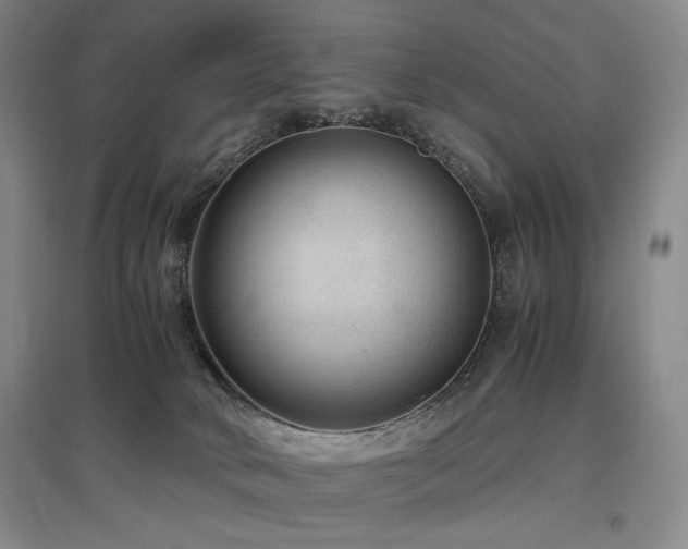 X0000097480034200802221402