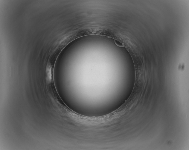 X0000097480042200802221402