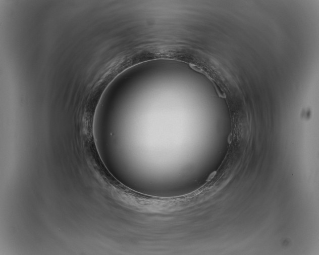 X0000097480044200802221402