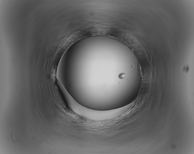 X0000097480045200802221402