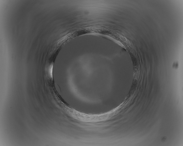 X0000097480047200802221402
