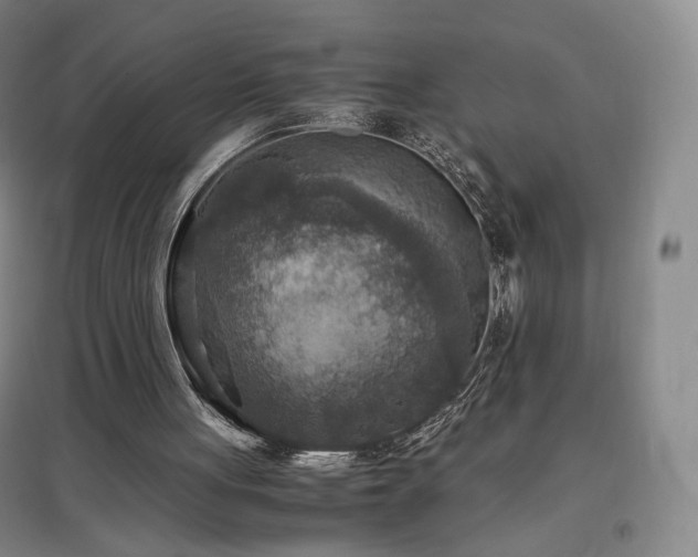X0000097480051200802221401