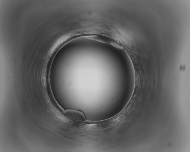 X0000097480054200802221401