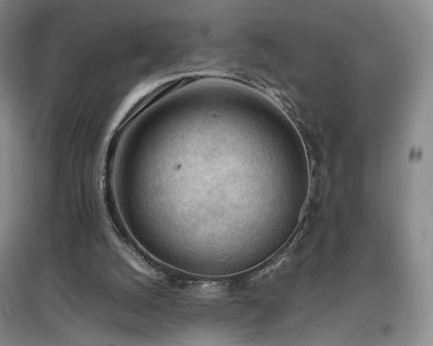 X0000097480056200802221401