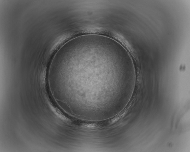 X0000097480058200802221401