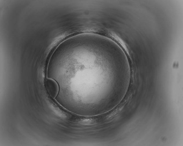 X0000097480059200802221401