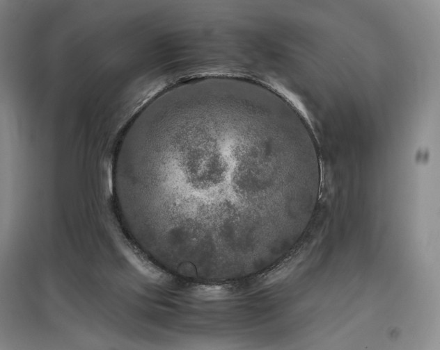 X0000097480061200802221401